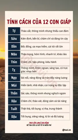 Tính cách của 12 con giáp #tuvivn #tuvivietnam #phongthuy #tamlinh #tuvi2024 #12congiap #tichcach12congiap 