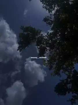 𝙃𝙊𝙇𝙄 𝙃𝙊𝙇𝙄 𝙃𝘼𝙎𝙀𝙇 𝙈𝙐𝙆𝘼𝙈 𝙃𝙊𝙉𝘿𝘼 𝘼𝙔>>🫠❤️🌸 . . . #waseeq_aesthetic #lyrics #aesthetic #foryou #foryoupage #trending #vairalvideo #100kviews #unfrezzmyaccount @TikTok @TiktokPakistanOfficial @★𝙒 𝘼 𝙎 𝙀 𝙀 𝙌★🖤🎧 