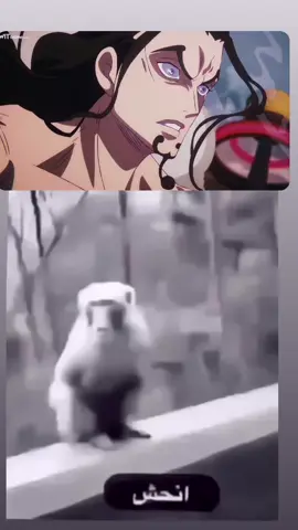 افضل حلقة بلا شك 1100 #onepiece #انمي #جوي_بوي #ون_بيس #joyboy #ونبيس #ون_بيس #fyp #لوتشي #لوفي 