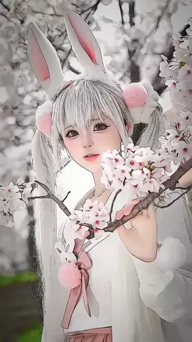 White Rabbit #小柔seeu #xiaorouseeu1231 #xiaorouseeu #kawai #cosplay 