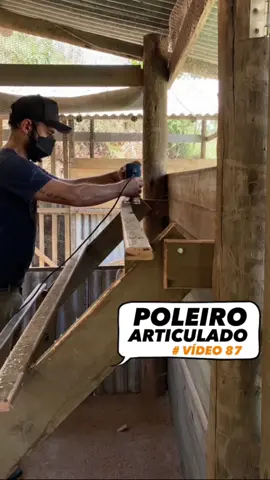 # VÍDEO nº 87: 🌱🐓♥️ •ASSUNTOS: - Altura dos poleiros - Largura das barras - Inclinação dos poleiros - Diferença entre poleiros das fases de cria/recria e produção  - Capacidade dos poleiros Sempre que puder dê preferência ao pequeno produtor(a) da sua comunidade, bairro, cidade, região 🚜🍃   #avicultura #ovo  #galinhapoedeira #poleiros #produçãodeovos #ovocaipira #galinhacaipira #galinheiro #façavocêmesmo #rendaextra #roça #vidanaroça #vidanocampo #agro #pecuaria #bemestaranimal #manejo #boaspraticas #embrapa051 #novogen  #timelapse #agricultura #agriculturafamiliar