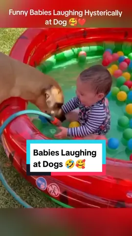 Funny Babies Laughing Hysterically at Dogs 🥰🤣 #baby #babies #kids #funnyvideos #funnybaby #lovelybaby #cutebaby #babylover #fyp #foryou 