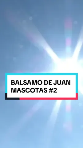 PREPÁRATE para la LLEGADA del CALOR ☀️ El Bálsamo de Juan MASCOTAS 😸 ¡5% DESCUENTO en tu PRIMER PEDIDO! #balsamodejuan #crema #natural #100%natural #musculos #articulaciones #dolor #remedio #eco #masajes #alivio 