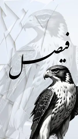 فيصل #فيصل #مدح_الشيوخ #ولدي#ولدي_حبيبي #اخوي_عزوتي_وتاج_راسي #خالي_الغالي #ابوي 