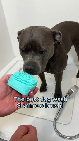 Shop our favourite dog wash and grooming tools 🧼. The shampoo brush is designed to get deep into your pets fur for a cleaner, more effective wash! Let your pet fall in love with bath time 🐶.  Link in our bio! 🥰 #dog #dogs #dogwash #dogshampoo #puppy #americanbully #staffy #brush #dogsoftiktok 