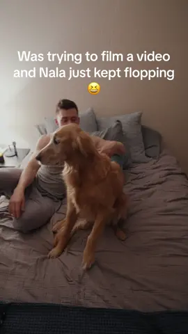 Nala flops when Nala wants