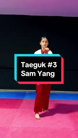 Respuesta a @•fan de Fede vigemani😻 Taeguk #3, Nathaly 🥋🫡 #molinastkd #taekwondo #tkd #fypシ #poomsae #sonora #tkdgirl #turorial 