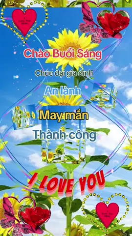 Chào buổi sáng đầu tuần chúc muôn điều tốt đẹp ,hạnh phúc và thành công nhé ❤ #xuhuongtiktok #thinhhanh #2024 #@Dương Bích liêu1971 