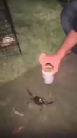#funny #funnyvideos #🤣🤣🤣 