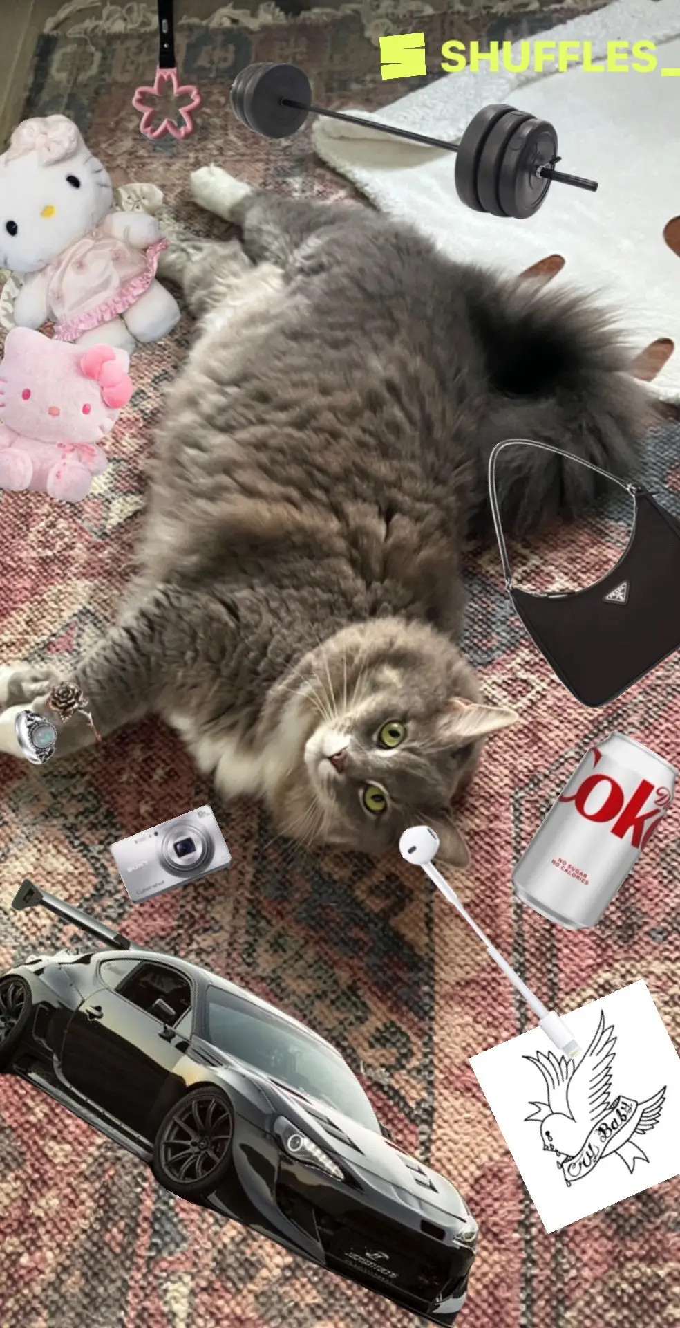 just look at luce #lookatthislucy #luce #meow 