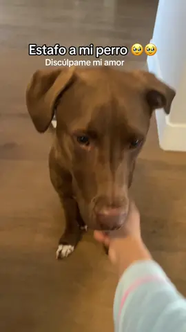 Eso le pasa por comerse mi 3 leches! No se enojen, obvio le va hacer daño :9 