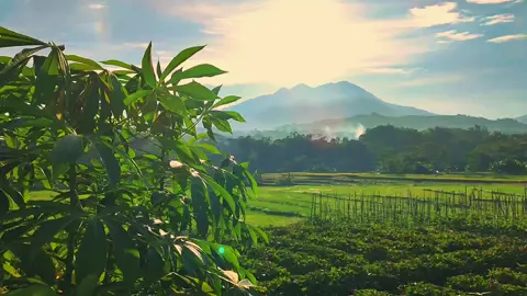 #CapCut #mentahanstory #naturevibes #videography #cinematic #mentahanvideo #slowmo #fyp 