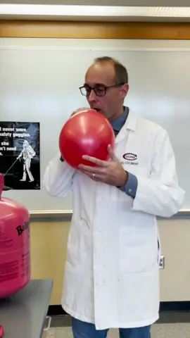 If you could see on the atomic scale and looked at a latex balloon, you’d see holes! Holes large enough for atoms of helium to fit through. This is one reason why latex balloons deflate so rapidly when inflated with helium gas. Helium atoms are very small, much larger than the nitrogen and oxygen molecules that make up the majority of the air we breathe. So what makes other types of balloons, like mylar, so much more effective in trapping helium? Mylar balloons are comprised of three layers of different materials: nylon, aluminum and polyester. This combination makes it much more difficult for tiny helium atoms to find a way through, and mylar balloons can consequently remain inflated and floating for weeks! #chemistry #chemteacherphil