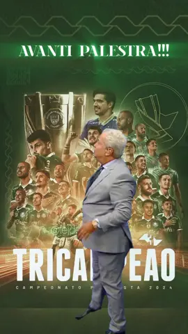 TRICAMPEÃO 💚🤍 #palmeiras #sepalmeiras #palmeirasnotiktok #avantipalestra #paulistao #tiktokbrasil 