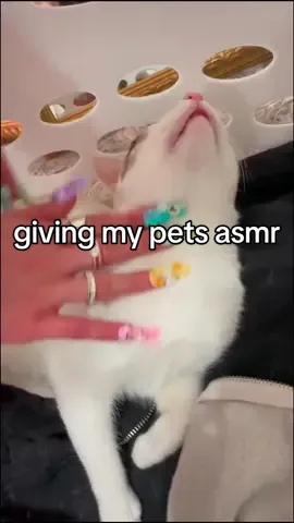 its a barnhouse here #asmr #fyp #asmrsounds #satisfying #foryou #asmrtiktok 