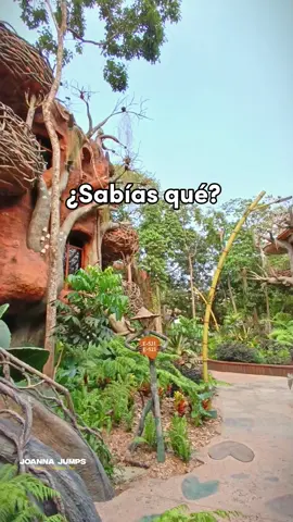 Restock en Amazon, si te interesa tener una cuerda que te ayude a mejorar tus saltos, encuentra el link con la información en mi perfil ➰🚀🔥 Mover tu cuerpo nunca fue tan divertido con una cuerda ➰❤️ #amazon #cuerdasegmentada #saltarcuerda #saltoconcuerda