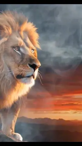 #القلوب_الطيبه 