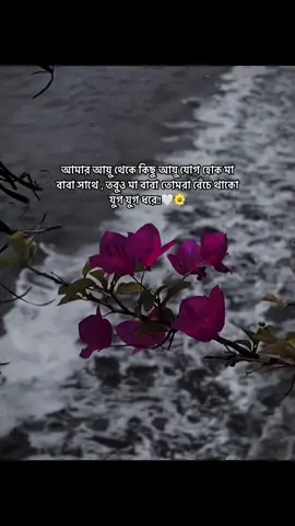 আমার আয়ু থেকে কিছু আয়ু যোগ হোক মা বাবা সাথে , তবুও মা বাবা তোমরা বেঁচে থাকো যুগ যুগ ধরে!!🤍🌼#foryou #unfrezzmyaccount #1millionaudition 