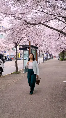My new weekend outfit💚 And the cherry blossom #grwm #styleblogger #lotd #StreetFashion #lifestylevlog #styleinspiration #fashionista #fashionblogger #springvibes #springmood #springfashion #aeusteticvibes #StreetStyle 