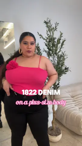 Boy I’ll let you be my @1822 Denim #jeans 😮‍💨😍🤭  #fyp #parati #1822denim #curvyfashion #curvymodel #tiktokcreators #fashioninspo #plussizetiktok #fashionhacks #hypecoachtejalmsw 