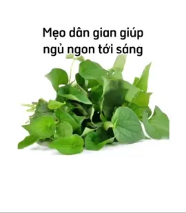 Mẹo dân gian giúp ngủ ngon tới sáng. Hãy follow và theo dõi kênh để xem nhiều video hay ý nghĩa nhé. #thuốc_nam_và_sức_khỏe  #xuhuong  #xuhuongtiktok  #xuhuong2024  #LearnOnTikTok 