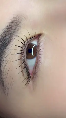 Chiếc mi uốn sịn#fypシ゚viral #rạchgiá #eyelashextensions #lashmapping #lashlift #lashartist #uonmi #xuhuong #trending #hottrend #hottiktok_xuhuong #xahoi #fyp #lashesextension 