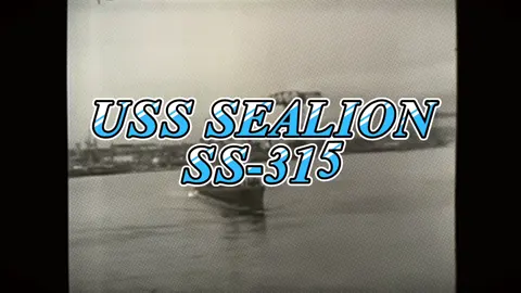USS Sealion (SS/SSP/ASSP/APSS/LPSS-315) , kapal selam kelas Balao , adalah kapal kedua Angkatan Laut Amerika Serikat yang diberi nama singa laut , salah satu dari beberapa anjing laut besar bertelinga asli Pasifik . Dia kadang-kadang disebut sebagai Sealion II , karena nakhoda pertamanya, Letnan Komandan Eli Thomas Reich , adalah seorang veteran Sealion pertama  (SS-195) , yang bertugas bersamanya ketika dia hilang pada awal Perang Dunia II. Sealion adalah satu-satunya kapal selam AS dan Sekutu yang bertanggung jawab atas tenggelamnya kapal perang musuh selama Perang Dunia Kedua . SEALION juga pernah menggempur armada terkuat jepang yang terdiri atas  Yamato , Nagato , Kongō , Yahagi , Hamakaze , Isokaze , Urakaze , Yukikaze , Kiri , dan Ume . dengan hasil kemenangan bagi SEALION dengan tenggelamnya Kongo dan urakaze serta kerusakan berat pada Nagato dan Yamato. #fyp #fypシ #usnavy #ussubmarine #balaoclasssubmarine #usssealionss315 