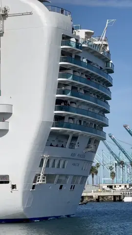 RUBY PRINCESS 🛳️ #ship #vessel #cruiseship #spotting 