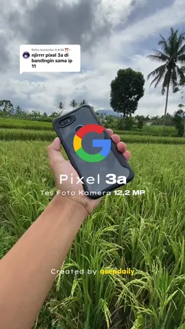 Membalas @𝙃.𝙍 𝙎𝘼 ⛩☭ tapi hasil fotonya menang pixel 3a #pixel #googlepixel #pixel3a #tesfotopixel3a #tesfoto #teskameragooglepixel #photography 