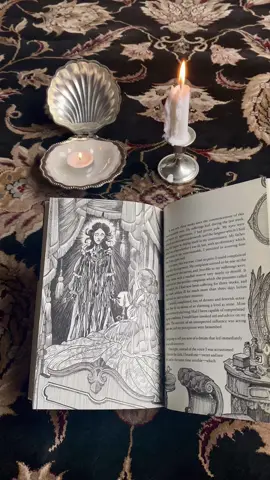 convincing you to read a book based on its illustrations 🥀 #carmilla #sheridanlefanu #gothicliterature  