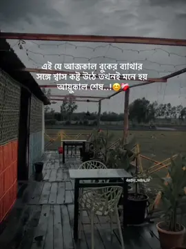 Maybe ses..(;😅💔 #foryou #vairalvideo #unfrezzmyaccount #tiktokofficial #tiktokbangladesh🇧🇩 #durjoy_mohazan #1M #stutas @TikTok @TikTok Bangladesh @For You 