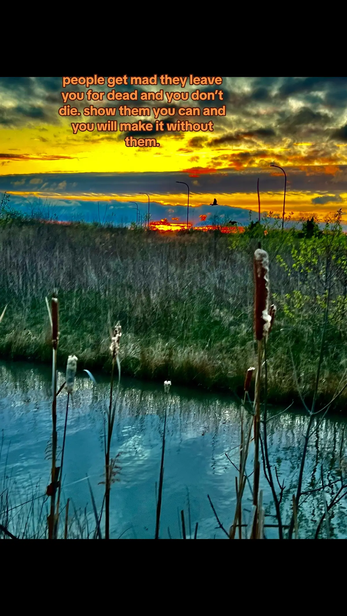 Happy Monday! #goodmorning #dailyreminder #dailyquote #happymonday #fyp