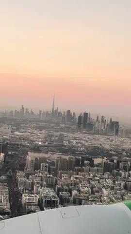 Daallo airlines ✈️ #Dubai #Mogadishu