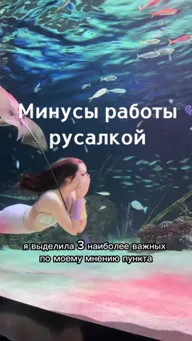 Сразу хочется сказать что данное видео носит исключительно информативный характер я и говорю только о своем опыте который строится исходя из многих факторов. И этот опыт может отличаться от опыта других артистов, что вполне нормально ведь все мы люди разные) Как и на многих других работах, при оформлении подписывается контракт в котором прописываются условия. #русалка #сеул #корея #южнаякорея #mermaid #seoul #southkorea #korea #army #китай #bts #traveltiktok 
