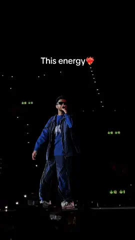 Hukum Tour 2024 #anirudh #foryou #switzerland #hukum #fypシ 