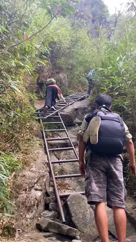 Fansipan đỉnh núi cao nhất tại Việt Nam 😊. Bạn đã thử leo bộ chưa? #trekkingfansipan #localtourguide #sapafansipan 