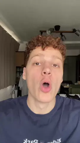 Les chats sont des fraudes  #chats #chat