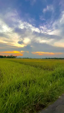 Nih yg mau mentahan video jalan-jalan di sawah pas sunset ambil aja…😁 Versi panjang nih bro😎 #mentahanvideo #jalanjalan #sunset #foryou 