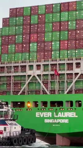 Ever Laurel 🟩 #ship #shipping #vessel #green #spotting 