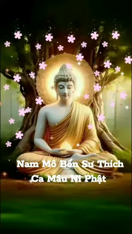 Nhạc Niệm Phật : Nam Mô Bổn Sư Thích Ca Mâu Ni Phật  #adidaphat  #adidaphat🙏🙏🙏  #adidaphat🌿#ViralBeauty #adidaphat🙏🙏🙏🙏  #nammoadidaphat  #nammoadidaphat🙏🙏🙏  #nammoadidaphat🙏🍀🌹  #nammobonsuthichcamauniphat  #nammodaibiquantheambotat  #nammodaithechibotat  #nammodiatangvuongbotat  #nammoduocsuluulyquangvuongphat  #nammodaihanhphohienbotat  #nammoduonglaihasanhdilactonphat  #phatphap  #phatphapnhiemmau  #phatphapvobien  #phatphapvadoisong  #phatphapvidieu  #phatphaptubi  #phatphaptang  #phattaitam  #phattubi  #daophat  #daophattrongtraitimtoi  #phatotrongtam  #loiphatday  #thuctinh  #tinhthuc  #giacngo  #chudaibi  #ommanipadmehum  #kinhdiatang  #kinhdiatangbotatbonnguyen  #capcut #tiktok #thinhhanh #moinhat #xh #xhtiktok #lenxuhuong 