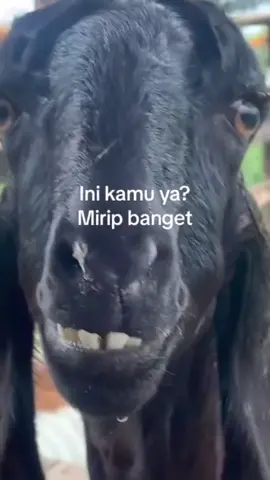 tag seseorang❤#fyp #katakata #galaubrutal #ruanggalau #story #ruangsad #quotestory #xyzbca #storytime #storywa #quotes #4u #foryou #viral #memes #kalahari #mantan #sajakcinta #masukberanda 