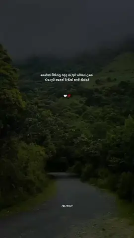 #ඇත්ත🙂👤#Memory•|💀🌍  #fypシ #foryoupage #viral #10k #sinhalaquotes #whatsappstatus #new #srilanka🇱🇰 