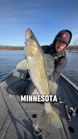 Part 7: The Walleye 🐉🏆 #fishing #fishtok #fishingtiktoks #walleye #walleyefishing 