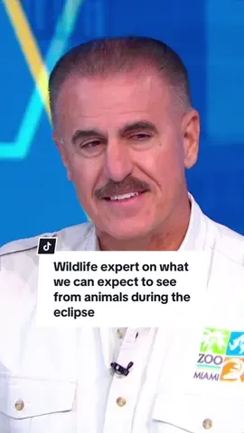@Zoo Miami wildlife expert Ron Magill shares what we can expect to see from animals and pets during the solar eclipse: “For most animals it’s like a big storm is approaching.” #animals #pets #eclipse #solareclipse 