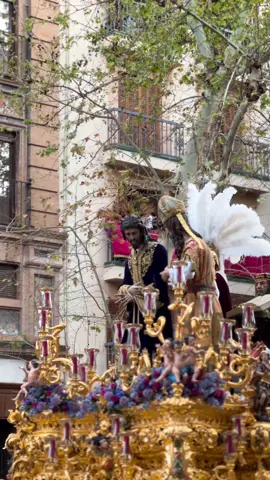 Lunes santo 2024 San Gonzalo frente a la iglesia de la Magdalena con @Las Cigarreras. Suena “Hasta siempre, soberano” #semanasanta2024 #sevilla #sangonzalo #lunessanto2024