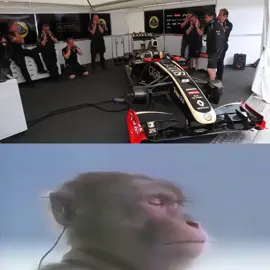 #F1 LOTUS E20 SOUND 🏎️ #formula1 #lotus #sound #foryou #formulaone 