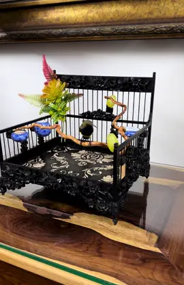 Lồng trần để bàn #Hútmật5màu 