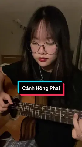 Cánh Hồng Phai - Dương Khắc Linh |fingerstyle guitar cover 🥀 #guitar #fingerstyle #fingerstyleguitar #guitartok #musician #guitarcover #guitarist #canhhongphai #tranthanh #fyp 