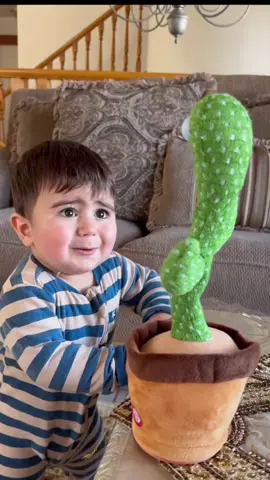Baby with cactus #trending #funny #babytiktok #kids #cactus #viral #funnybaby #dramatic #kidsoftiktok #foryou 