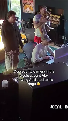 Alex’s dogs actually have producer credits on Addicted #newmusic #electronicmusic #musicstudio @Zerb 